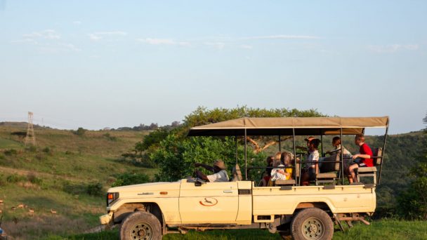 game drive rain farm - a to z of activities ballito zinkwazi