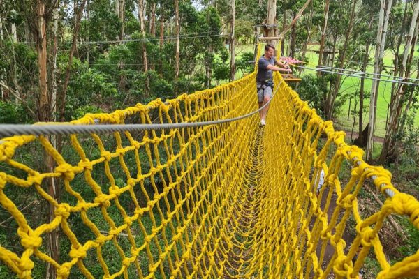 tree-trails-1